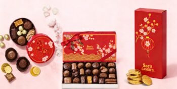 See's Candies 2026 Lunar New Year (Year of the Horse) Limited Edition Chocolate Gift Box Collection